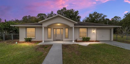 4 Pine Course Court, Ocala