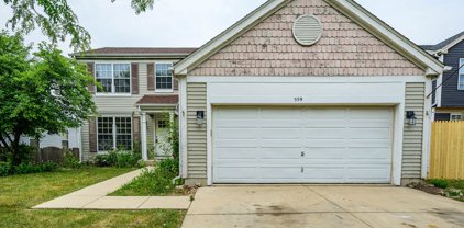 559 Larkspur Drive, Bolingbrook