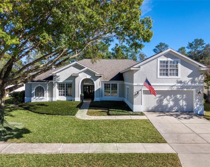 9041 Laurel Ridge Drive, Mount Dora
