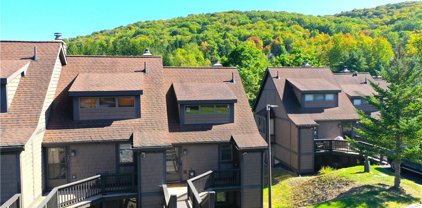 74 Woods Rd-The Woods, Ellicottville-043689
