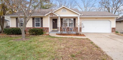 2964 Wheatfield Farms  Drive, O'Fallon