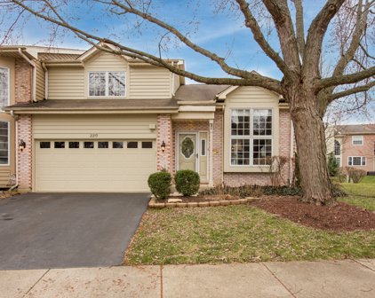 2210 Worthing Drive, Naperville