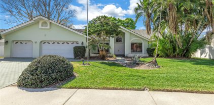 13706 Chestersall Drive, Tampa