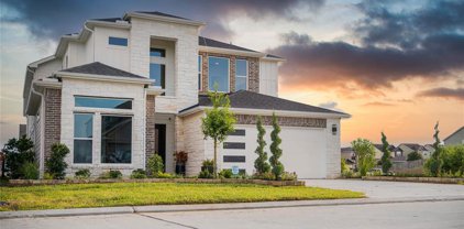11045 N Lake Mist Lane, Willis
