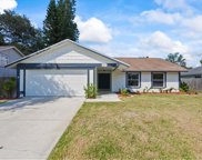 2817 Wendover Ter, Palm Harbor image