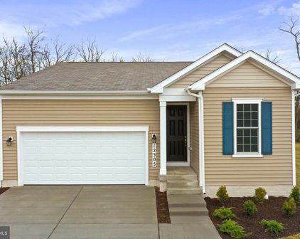 12305 Fallen Timbers Cir, Hagerstown