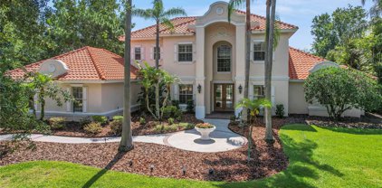 6212 Emmons Lane, Tampa
