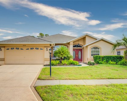18350 Camshire Court, Hudson