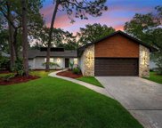 103 Valley Court, Longwood image