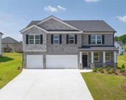 706 Black Maple Court, Loganville image