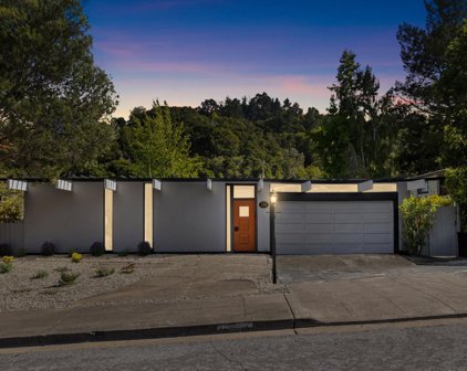 2221 Bunker Hill DR, San Mateo