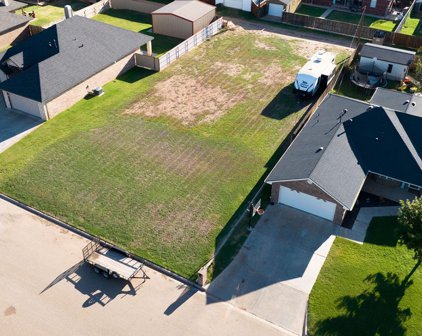 1006 Deer Court Court, Abernathy