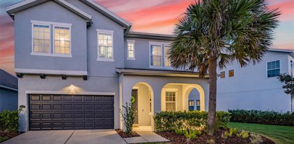 11513 Quiet Forest Drive, Tampa