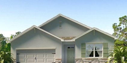 3510 Wild Bramble Court, Plant City