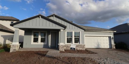 17735 Savory Mist Circle, Lakewood Ranch