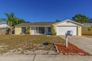 11530 Meadow Drive, Port Richey image