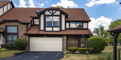 240 Oak Knoll Lane Unit #240, Bloomingdale