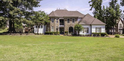 10208 Gillespie Oak Dr, Lakeland