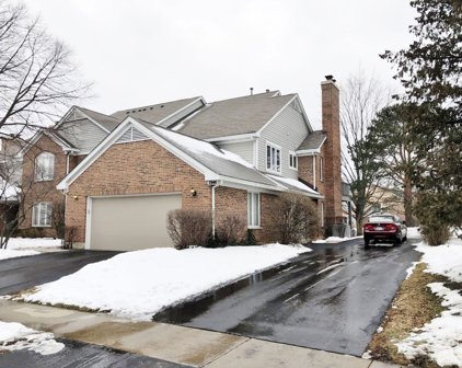 1546 N Courtland Drive, Arlington Heights