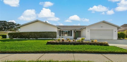 2863 Allapattah Drive, Clearwater