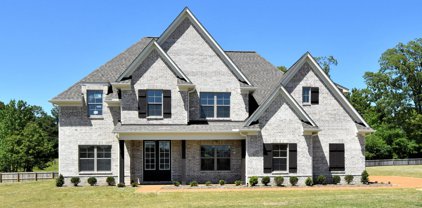 1566 Wilkerson Drive, Southaven