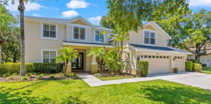 2123 Chestnut Forest Drive, Tampa