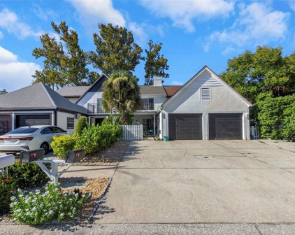 16076 Dawnview Drive, Tampa
