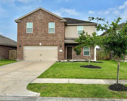 9419 Calm Amber Drive, Iowa Colony