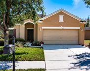 11129 Belle Haven Drive, New Port Richey image