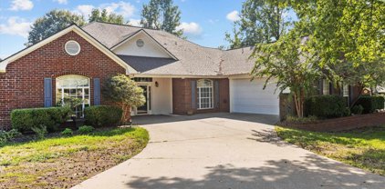 11340 Sandy Grove Ct, Flint