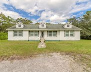 2110 Avocado  Drive, Port Orange image