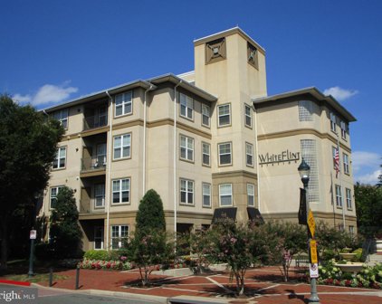 11750 Old Georgetown Rd Unit #2511, Rockville