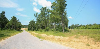 0000 Frontier Bend, Sumrall