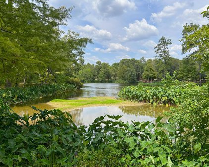 1553 Emerald Lakes Drive, Willis