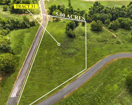Tract 31 Stallard Springs, Shelbyville