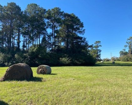 bagwell road, Willis