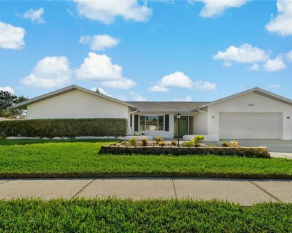 2863 Allapattah Drive, Clearwater