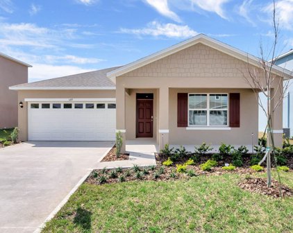 4865 Panga Avenue, Mount Dora