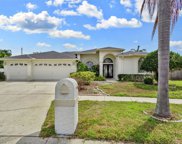 10209 Lockwood Pines Lane, Tampa image