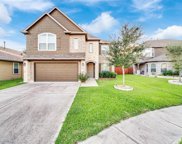 14427 Prickly Pear Court, Houston image