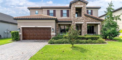 12824 Berrypick Trail, Odessa