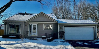 1320 Windemere Avenue, Naperville