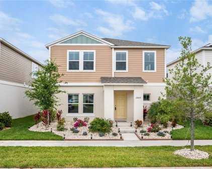 12804 Crested Iris Way, Riverview