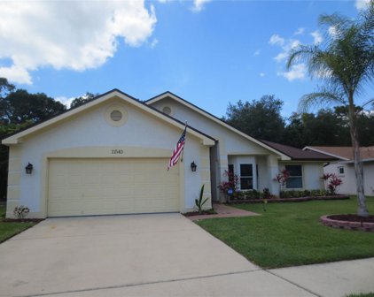 11540 Sandy Hill Drive, Orlando