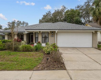 337 Alba Lane, Lake Mary