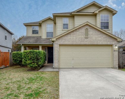 10242 Roseangel Ln, Helotes