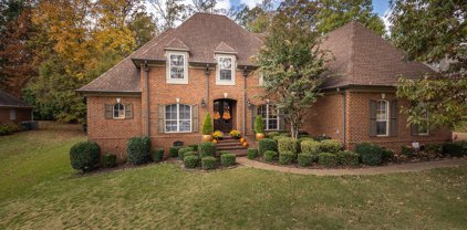 4099 W Dickens Place Drive, Southaven
