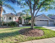 10264 Estuary Drive, Tampa image