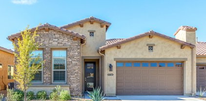 30672 S Osprey, Oracle