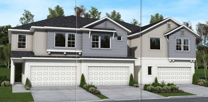 17254 Balance Cove, Land O' Lakes